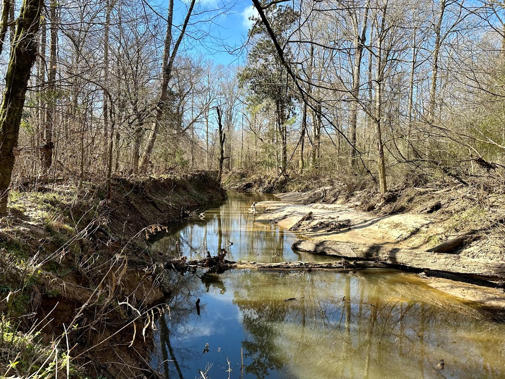 Tbd John I Hay Road Hazlehurst, MS 39083 - Photo 29 of 53 Photo 29