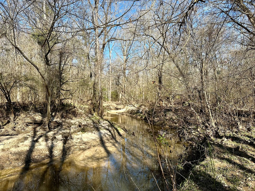 Tbd John I Hay Road Hazlehurst, MS 39083 - Photo 30 of 53 Photo 30