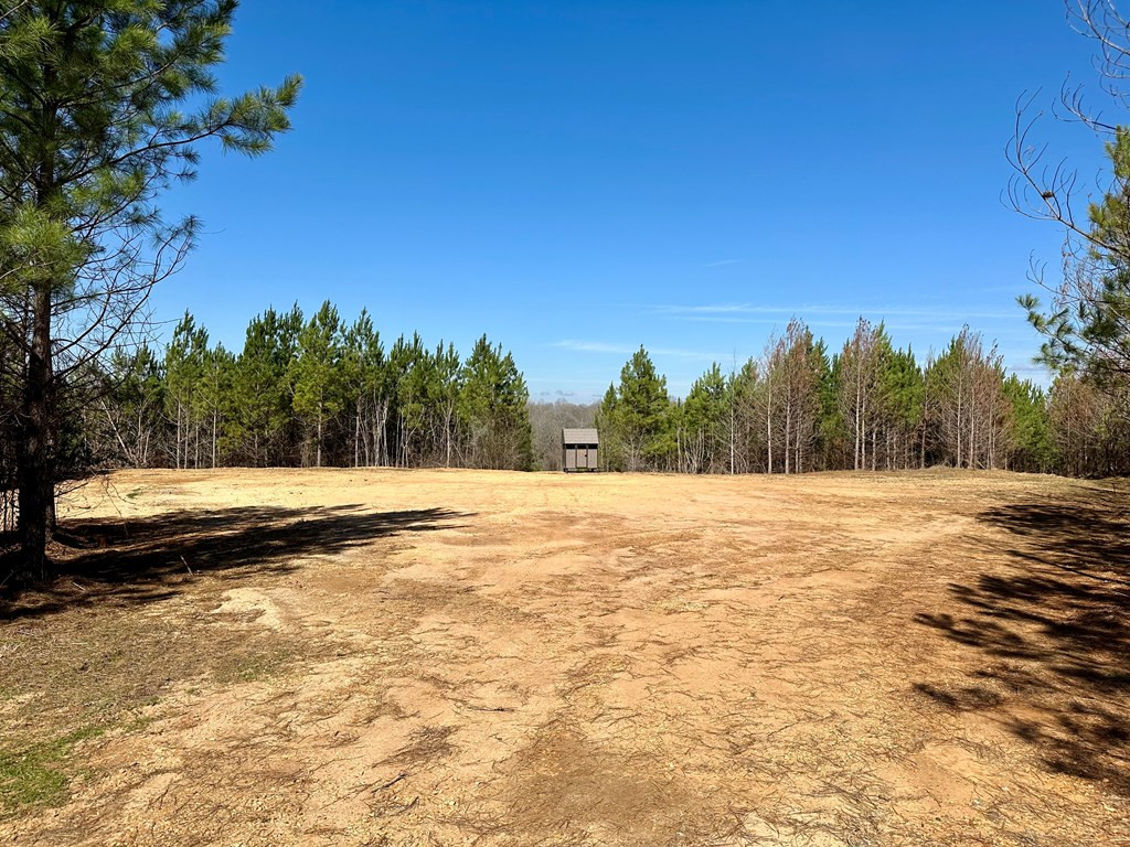 Tbd John I Hay Road Hazlehurst, MS 39083 - Photo 3 of 53 Photo 3