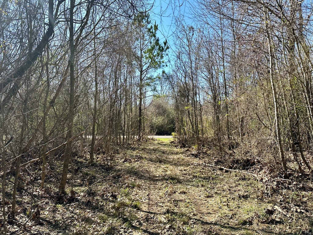 Tbd John I Hay Road Hazlehurst, MS 39083 - Photo 32 of 53 Photo 32