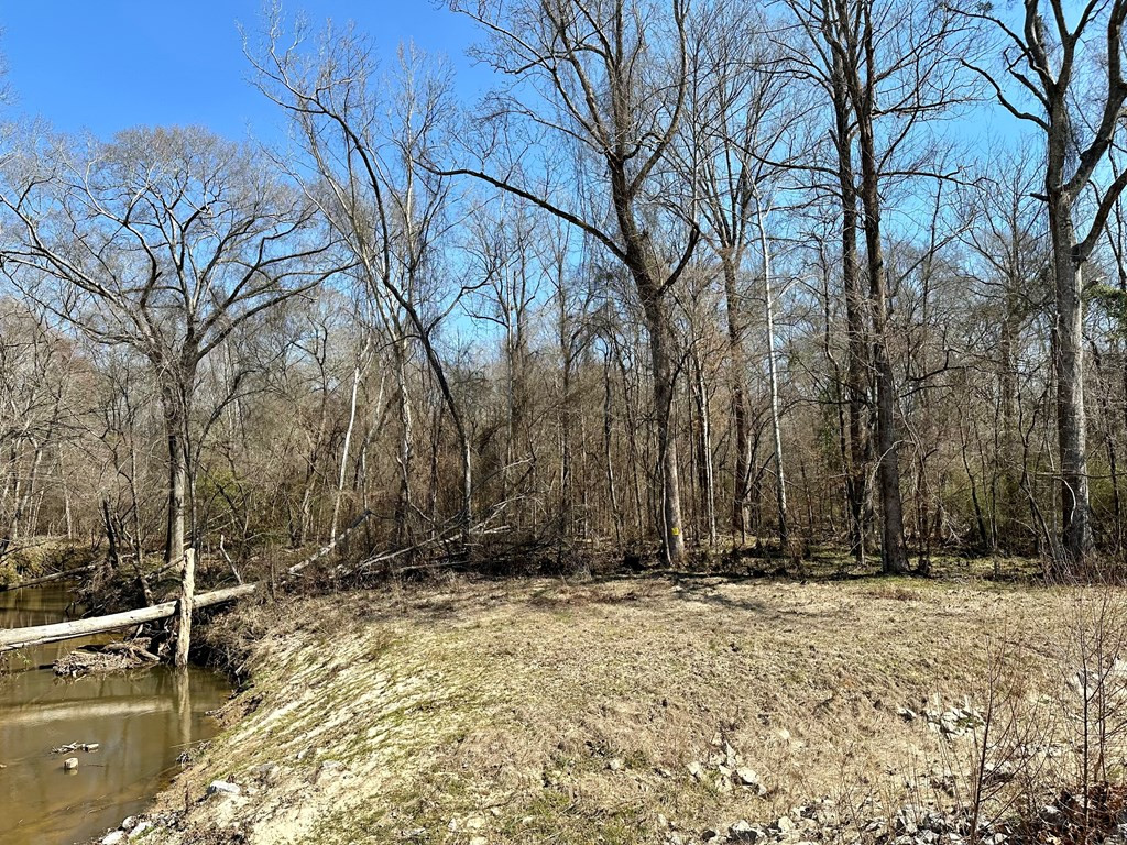 Tbd John I Hay Road Hazlehurst, MS 39083 - Photo 33 of 53 Photo 33