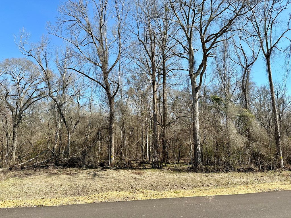 Tbd John I Hay Road Hazlehurst, MS 39083 - Photo 34 of 53 Photo 34