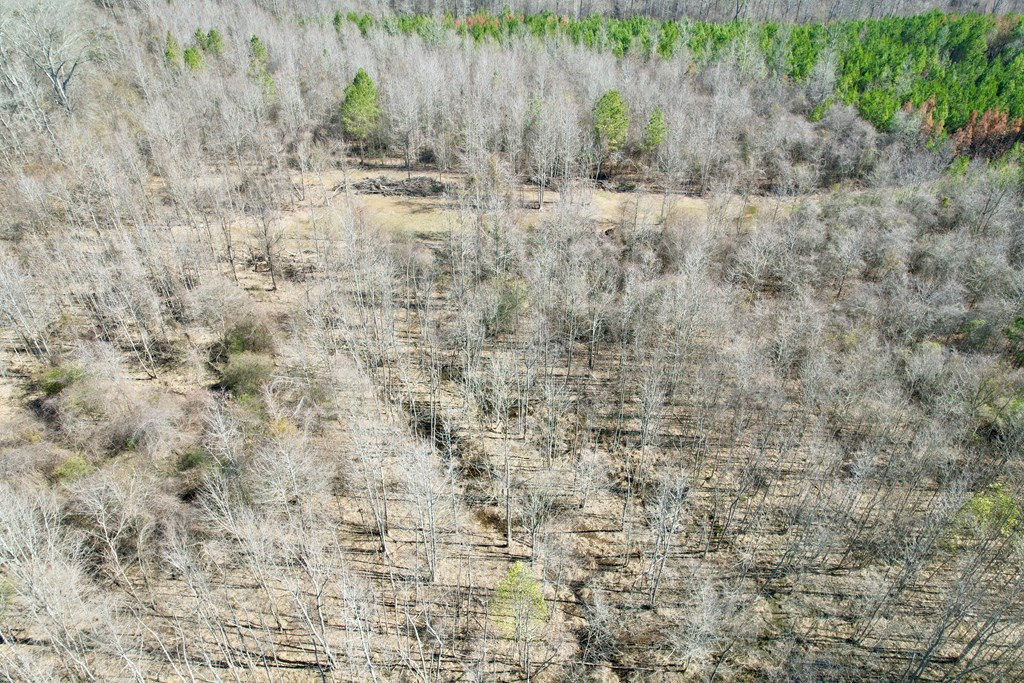 Tbd John I Hay Road Hazlehurst, MS 39083 - Photo 35 of 53 Photo 35