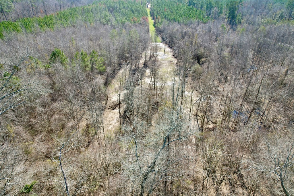 Tbd John I Hay Road Hazlehurst, MS 39083 - Photo 36 of 53 Photo 36