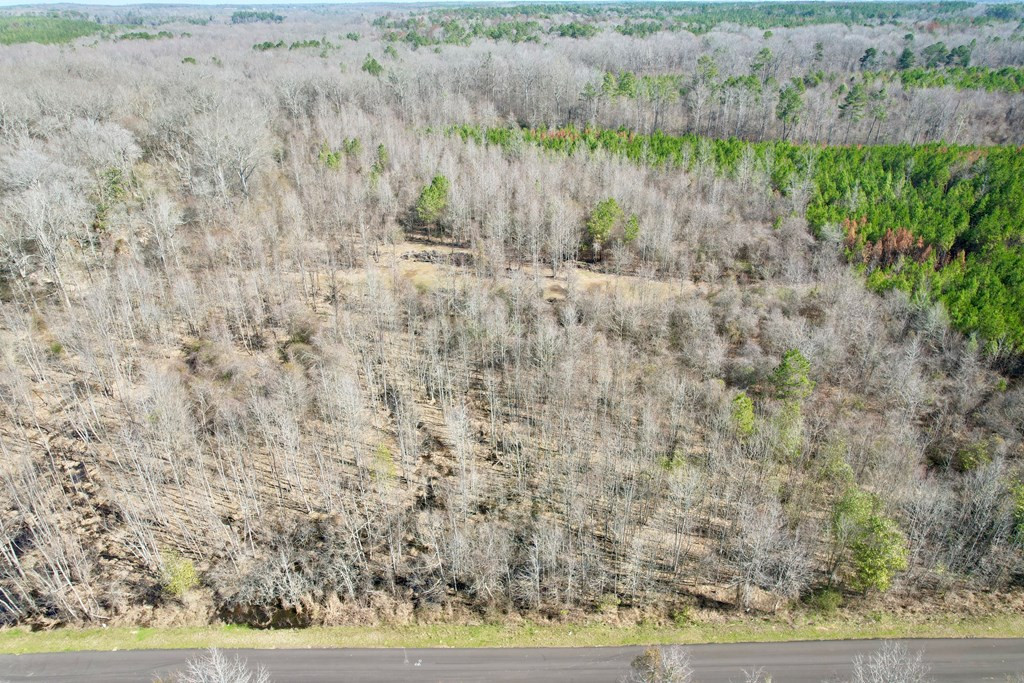Tbd John I Hay Road Hazlehurst, MS 39083 - Photo 37 of 53 Photo 37