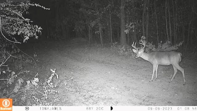 Tbd John I Hay Road Hazlehurst, MS 39083 - Photo 43 of 53 Photo 43