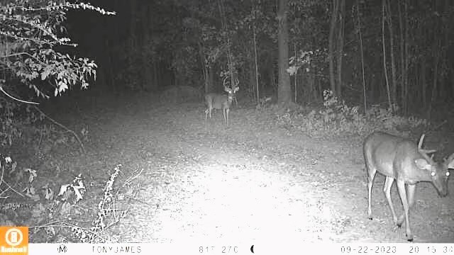 Tbd John I Hay Road Hazlehurst, MS 39083 - Photo 44 of 53 Photo 44