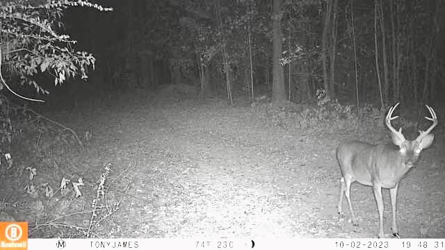 Tbd John I Hay Road Hazlehurst, MS 39083 - Photo 45 of 53 Photo 45