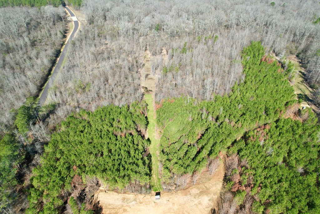 Tbd John I Hay Road Hazlehurst, MS 39083 - Photo 5 of 53 Photo 5