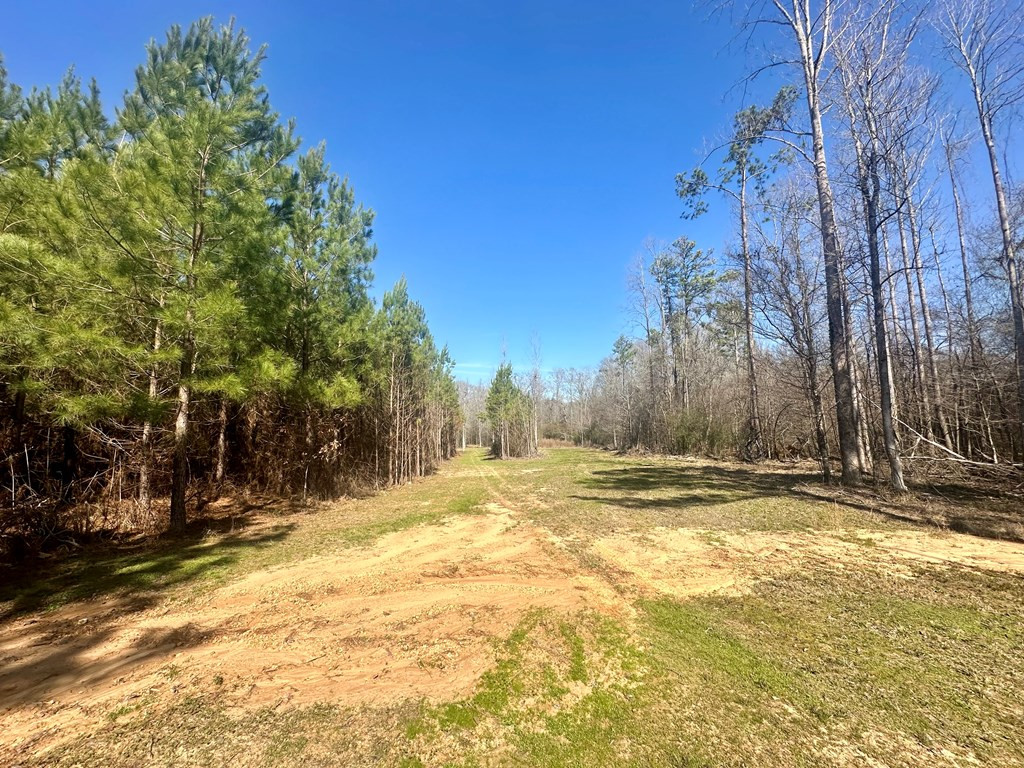 Tbd John I Hay Road Hazlehurst, MS 39083 - Photo 9 of 53 Photo 9