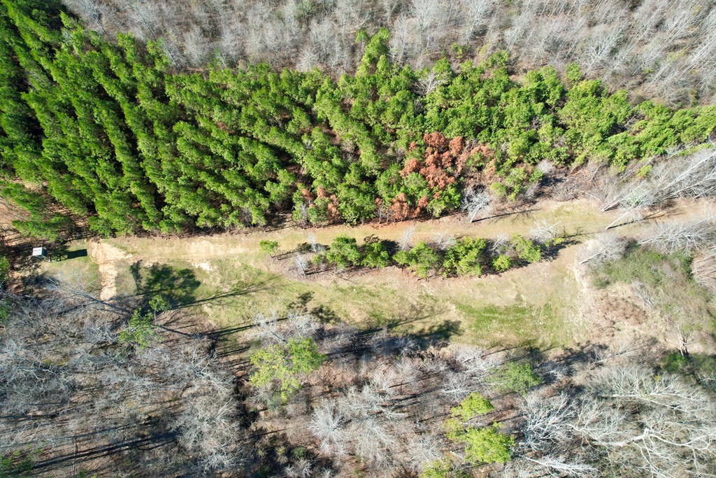 Tbd John I Hay Road Hazlehurst, MS 39083 - Photo 10 of 53 Photo 10