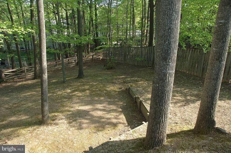 7131 Hamor Lane Springfield, VA 22153 - Photo 4 of 14 Back yard