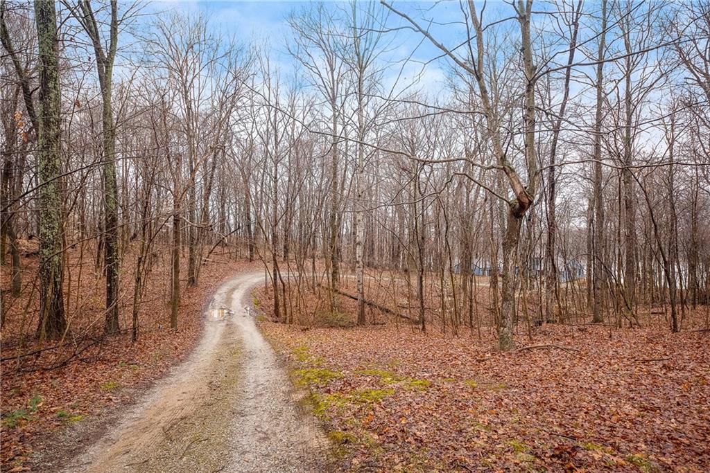 6053 East Jennings Road Lexington, IN 47138 - Photo 9 of 44 Gallery Image 9