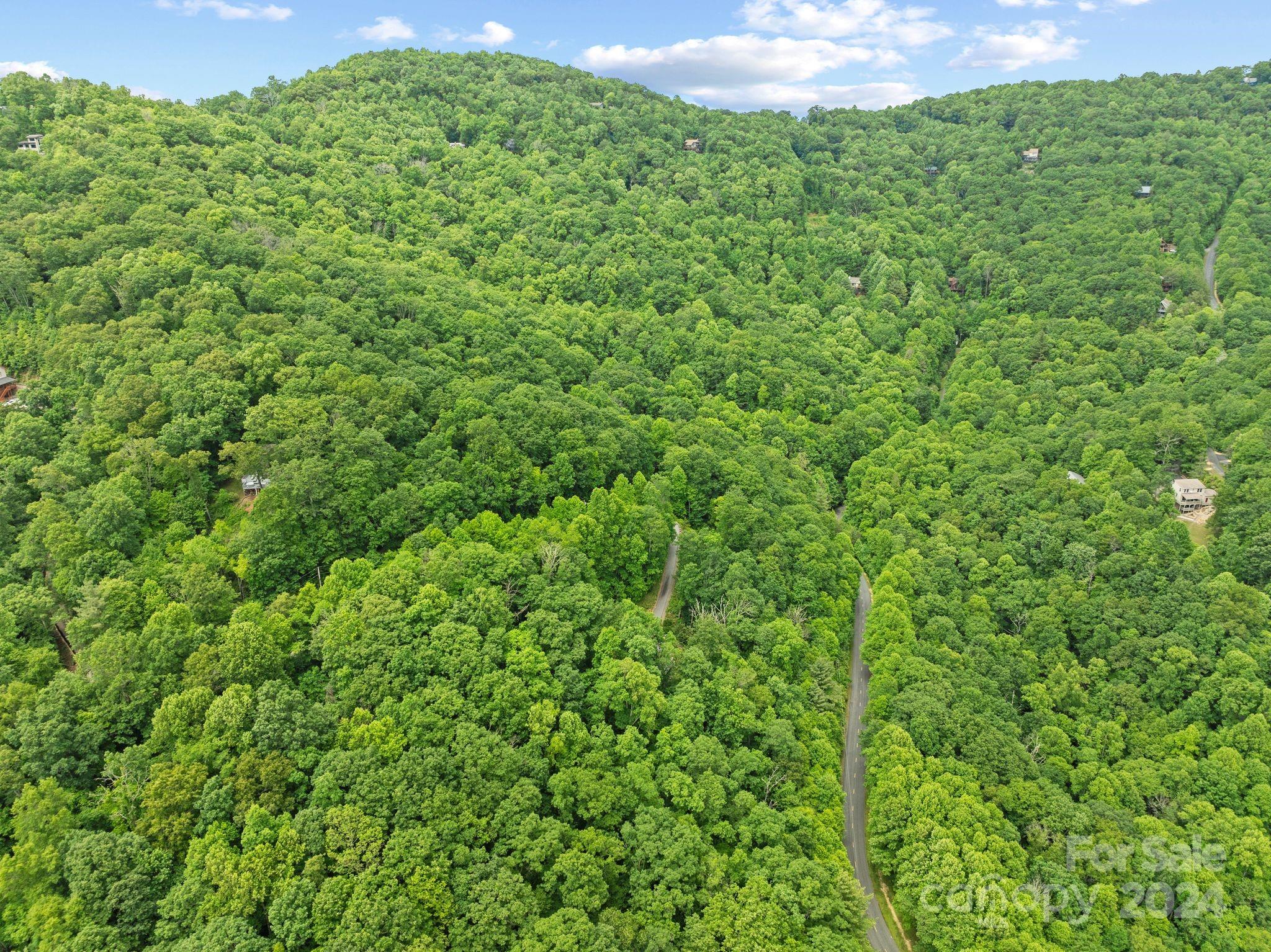 62 Chestnut Forest Road Fairview, NC 28730 - Photo 44 of 45 Gallery Image 44