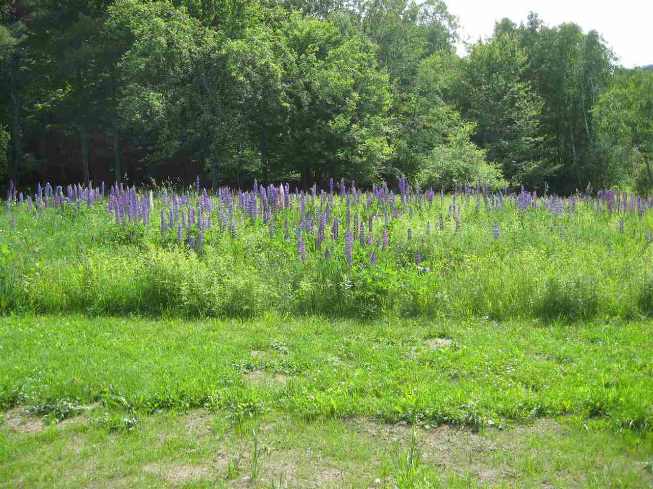 478 Colby Road North Thetford, VT 05075 - Photo 27 of 34