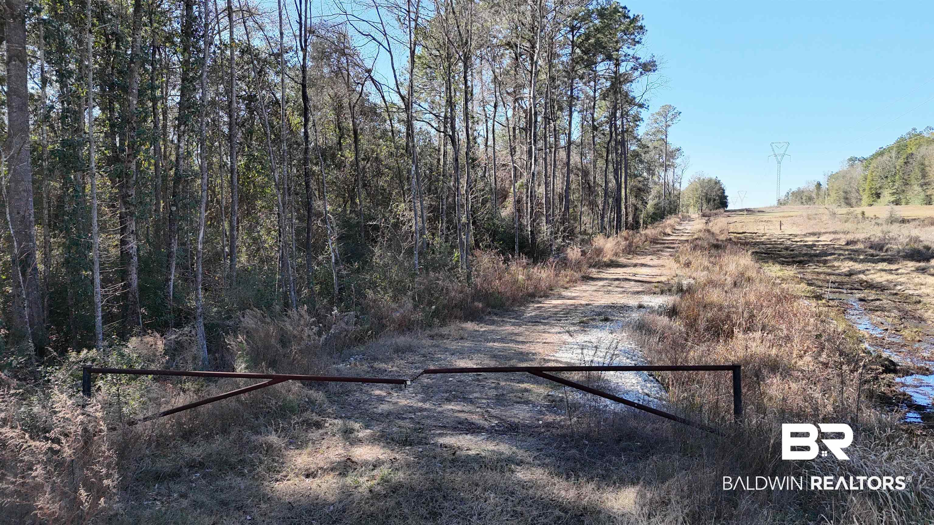 0 Radcliff Road Saraland, AL 36571 - Photo 4 of 14 View of road