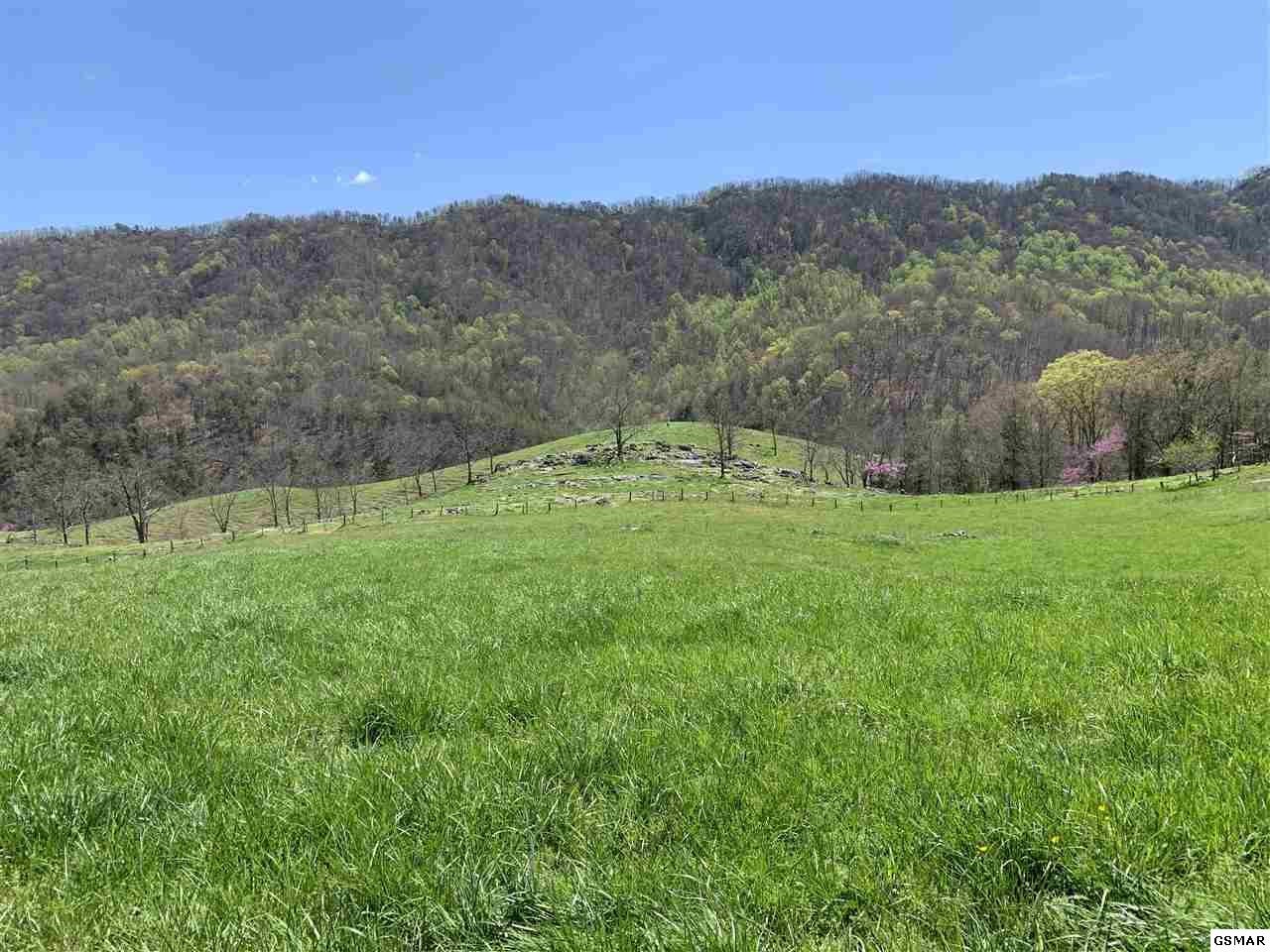 617 War Creek Road Eidson, TN 37731 - Photo 1 of 35