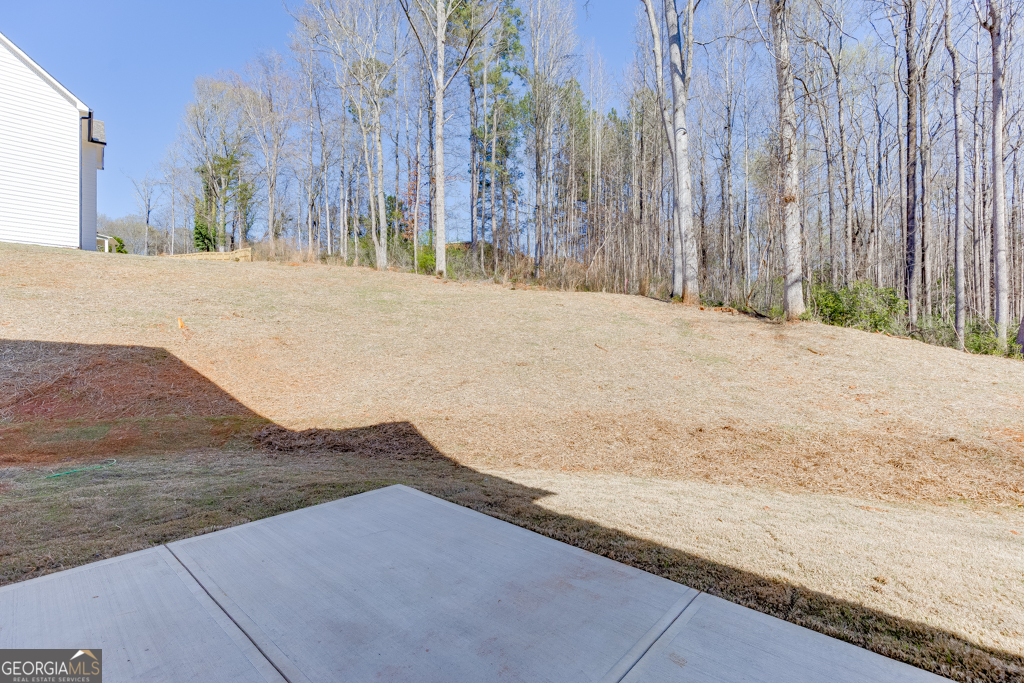 1003 Lakeview Drive Commerce, GA 30529 - Photo 40 of 48 a backyard of a house