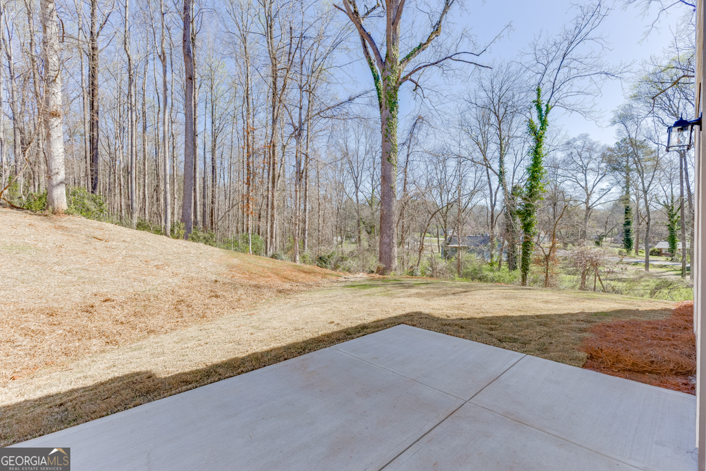 1003 Lakeview Drive Commerce, GA 30529 - Photo 41 of 48 a view of a backyard of the house