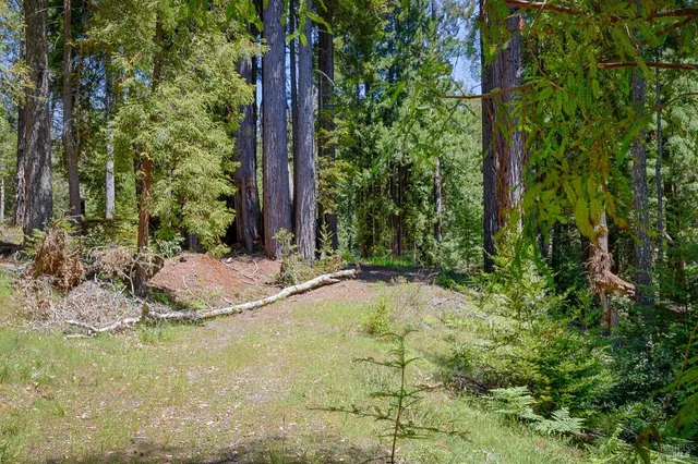 a view of fountain in the backyard