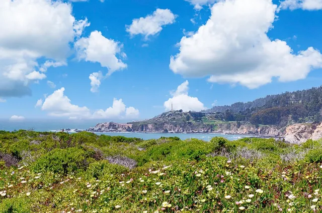 a view of a lake in middle of the green field