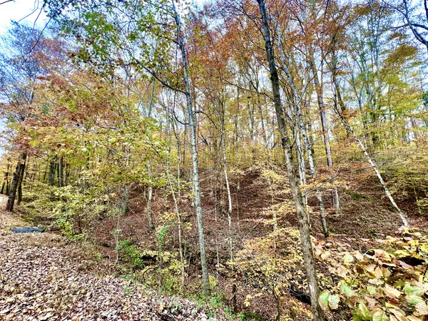 $39,900 | 0 West Garretts Creek Road, Westmoreland, TN 37186