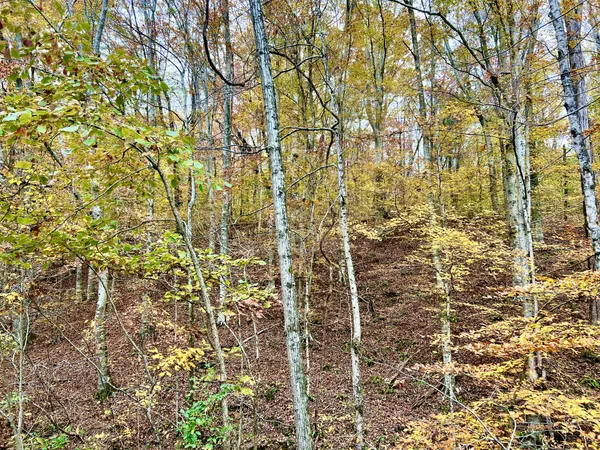 $39,900 | 0 West Garretts Creek Road, Westmoreland, TN 37186