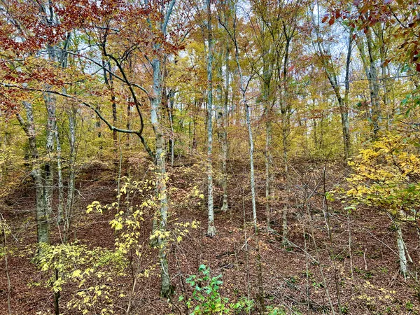 $39,900 | 0 West Garretts Creek Road, Westmoreland, TN 37186