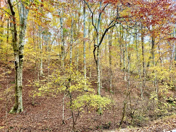 $39,900 | 0 West Garretts Creek Road, Westmoreland, TN 37186