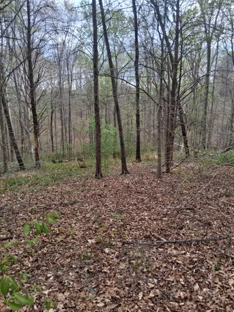 $39,900 | 0 West Garretts Creek Road, Westmoreland, TN 37186