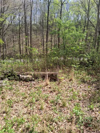 $39,900 | 0 West Garretts Creek Road, Westmoreland, TN 37186