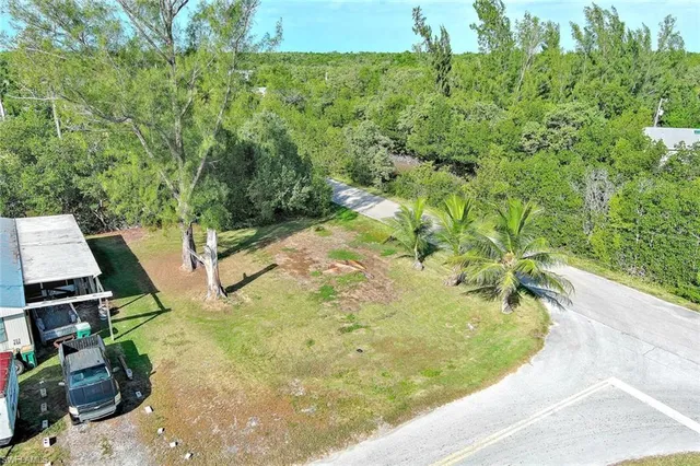 a view of backyard with swimming pool