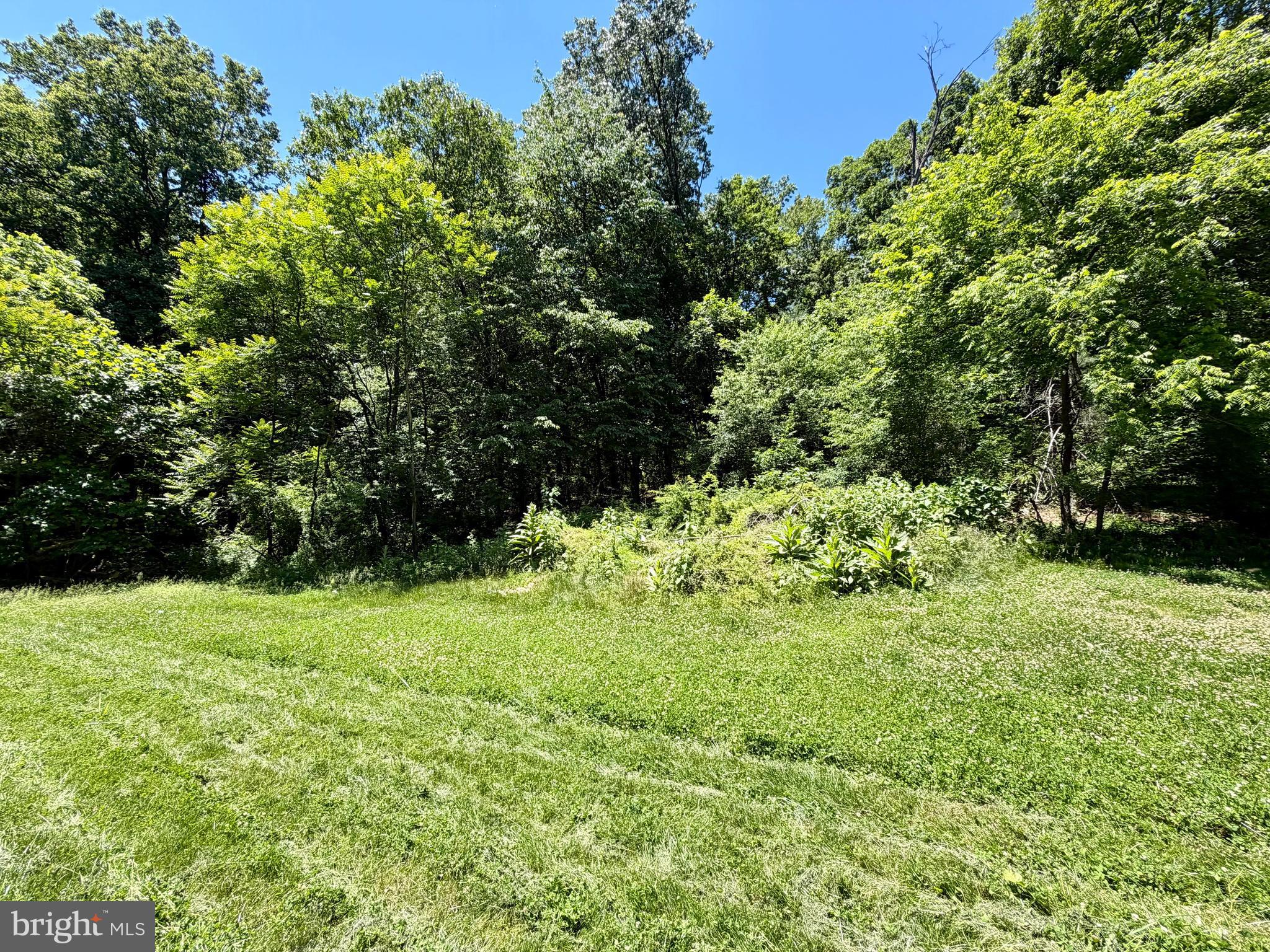 10121 Putman Road Frederick, MD 21702 - Photo 21 of 22