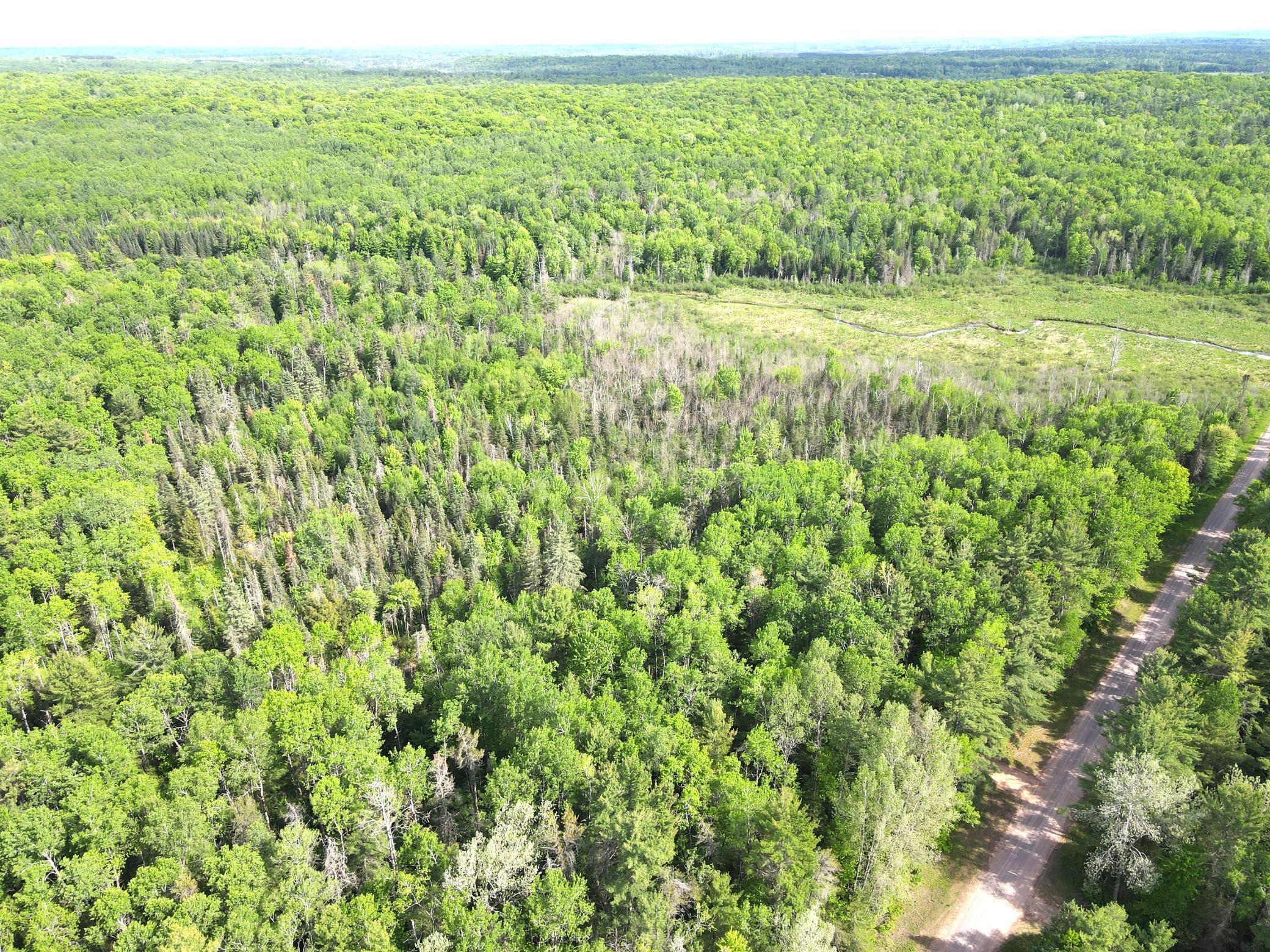 Lot 1 Smith Road North Couderay, WI 54828 - Photo 4 of 29