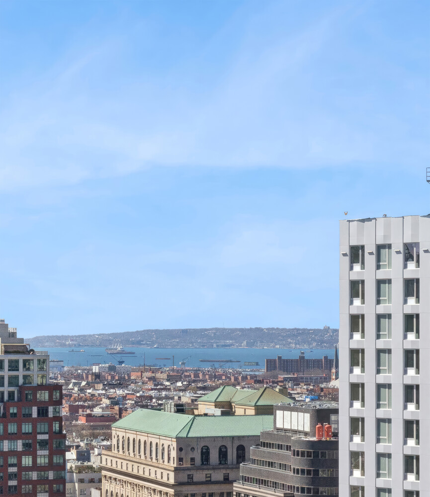 365 Bridge Street, Unit 19A Brooklyn, NY 11201 - Photo 4 of 11