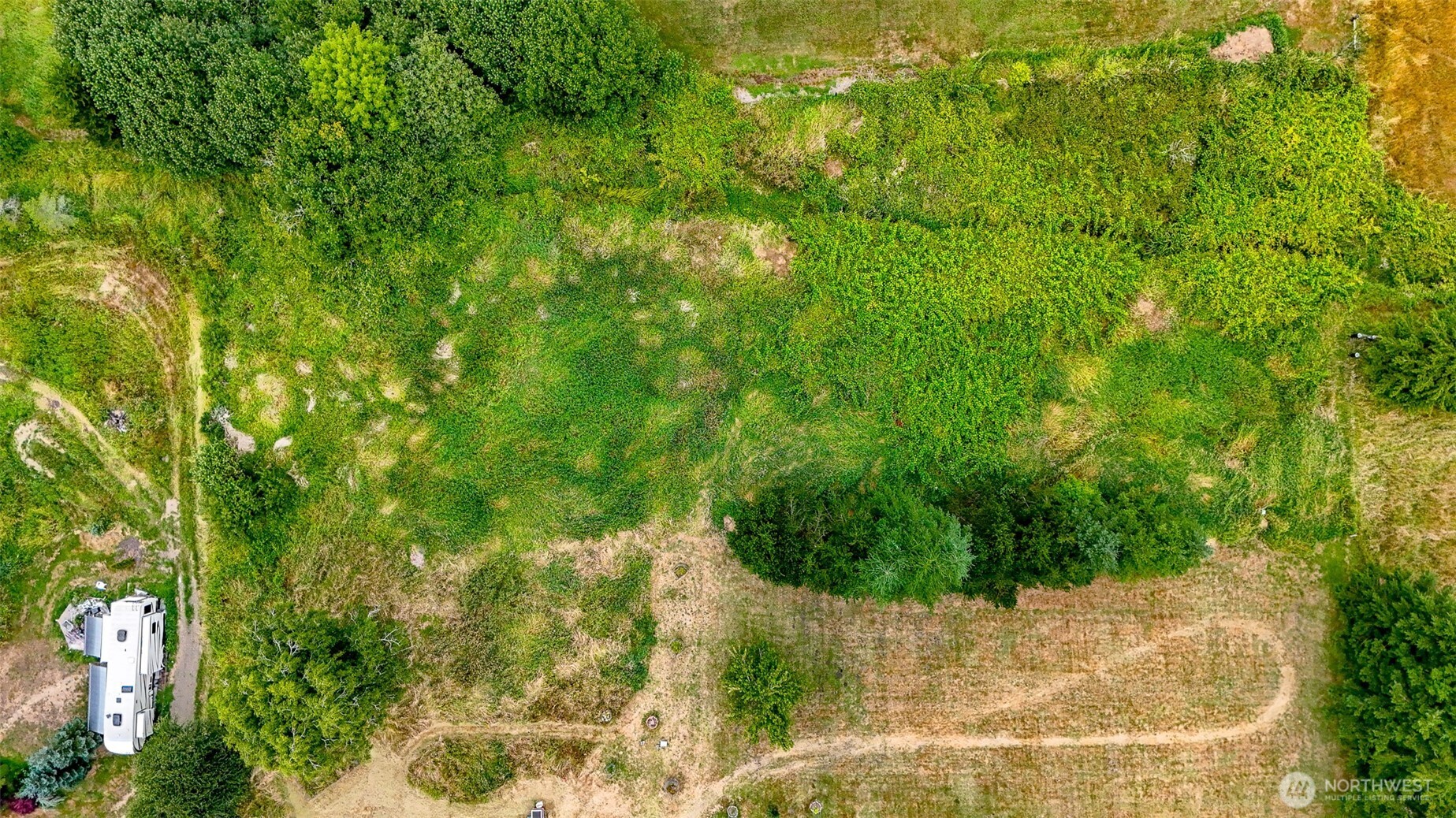 23 Garden Tracts Road Montesano, WA 98563 - Photo 20 of 22 a view of a forest