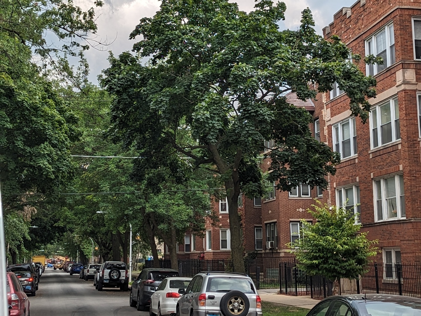 6730 South Ridgeland Avenue, Unit 2 Chicago, IL 60649 - Photo 9 of 12 a front view of a building with trees