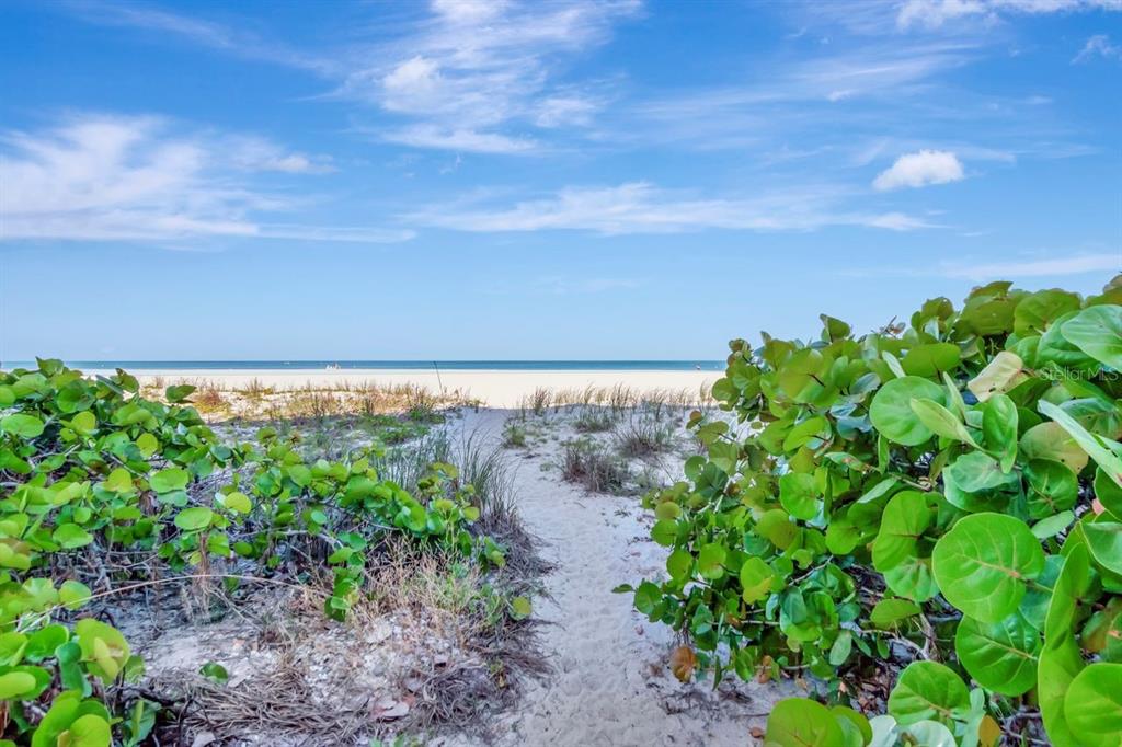 1350 Gulf Boulevard, Unit 301 Clearwater Beach, FL 33767 - Photo 69 of 75