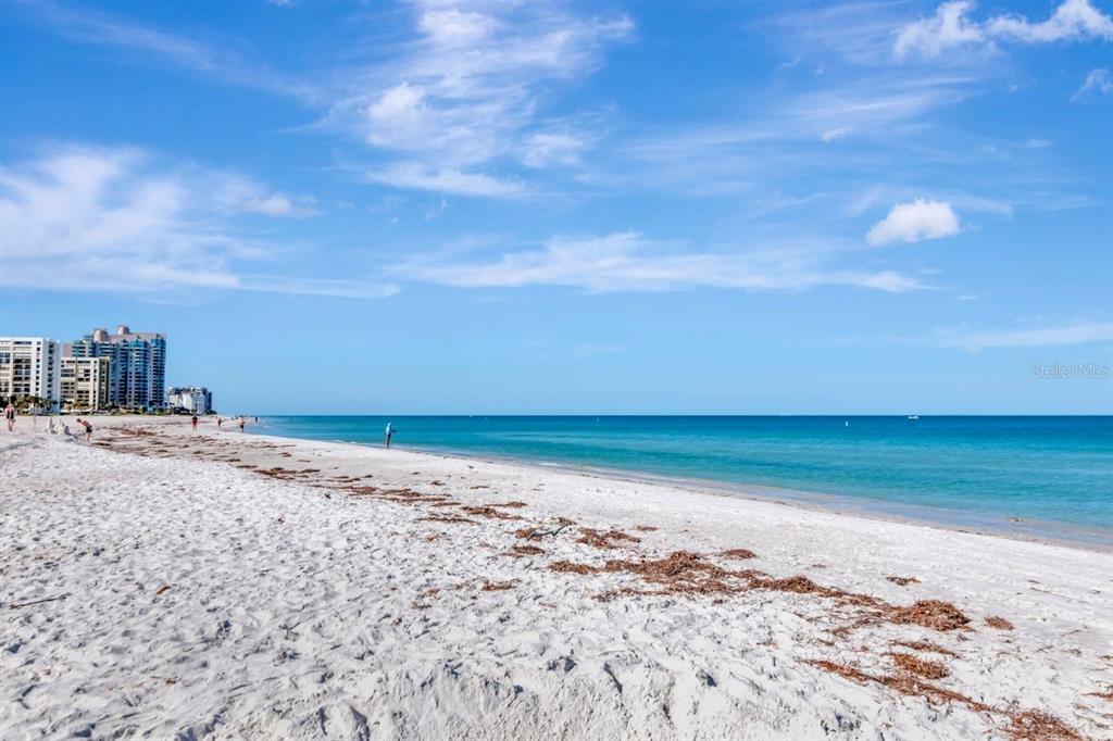 1350 Gulf Boulevard, Unit 301 Clearwater Beach, FL 33767 - Photo 73 of 75 a view of a ocean beach