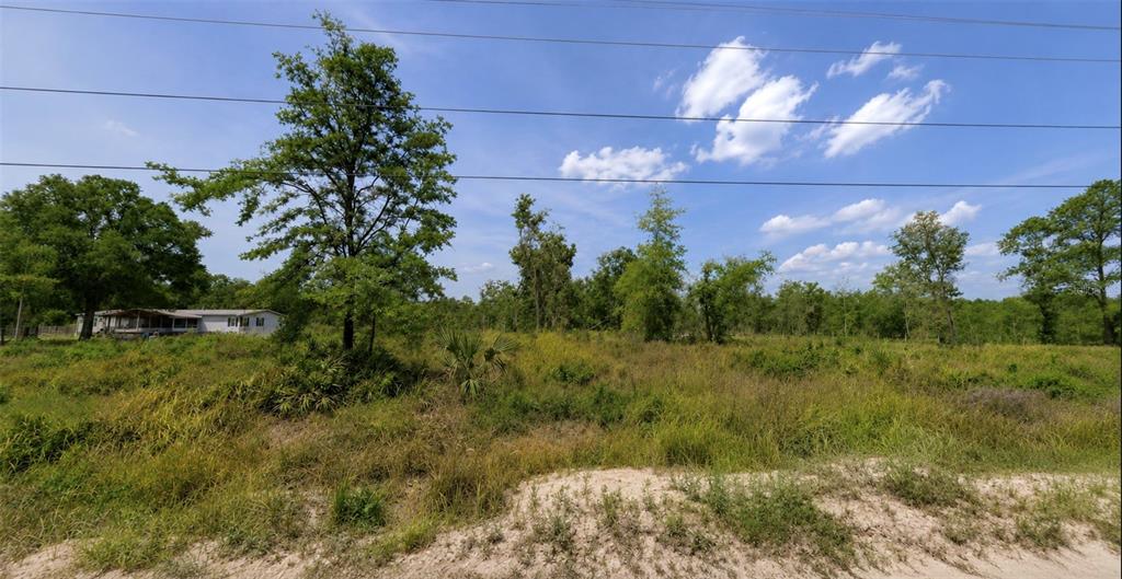 5499 East Stokes Ferry Road Hernando, FL 34442 - Photo 2 of 3
