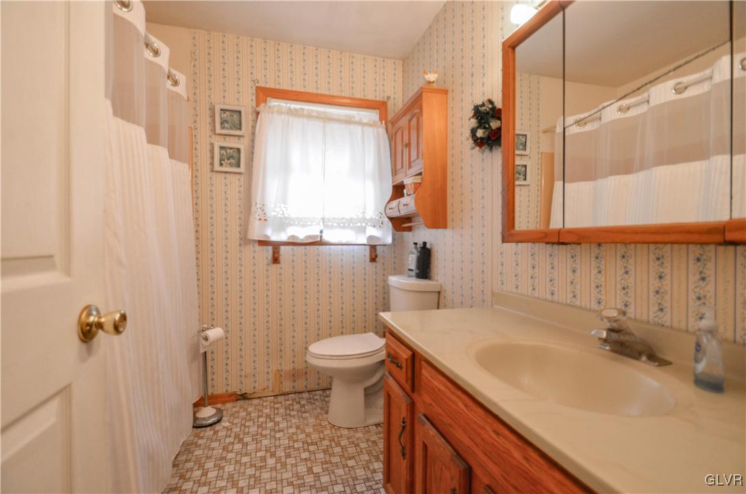 253 Sundance Road Effort, PA 18330 - Photo 17 of 25 a bathroom with a sink toilet a mirror and shower