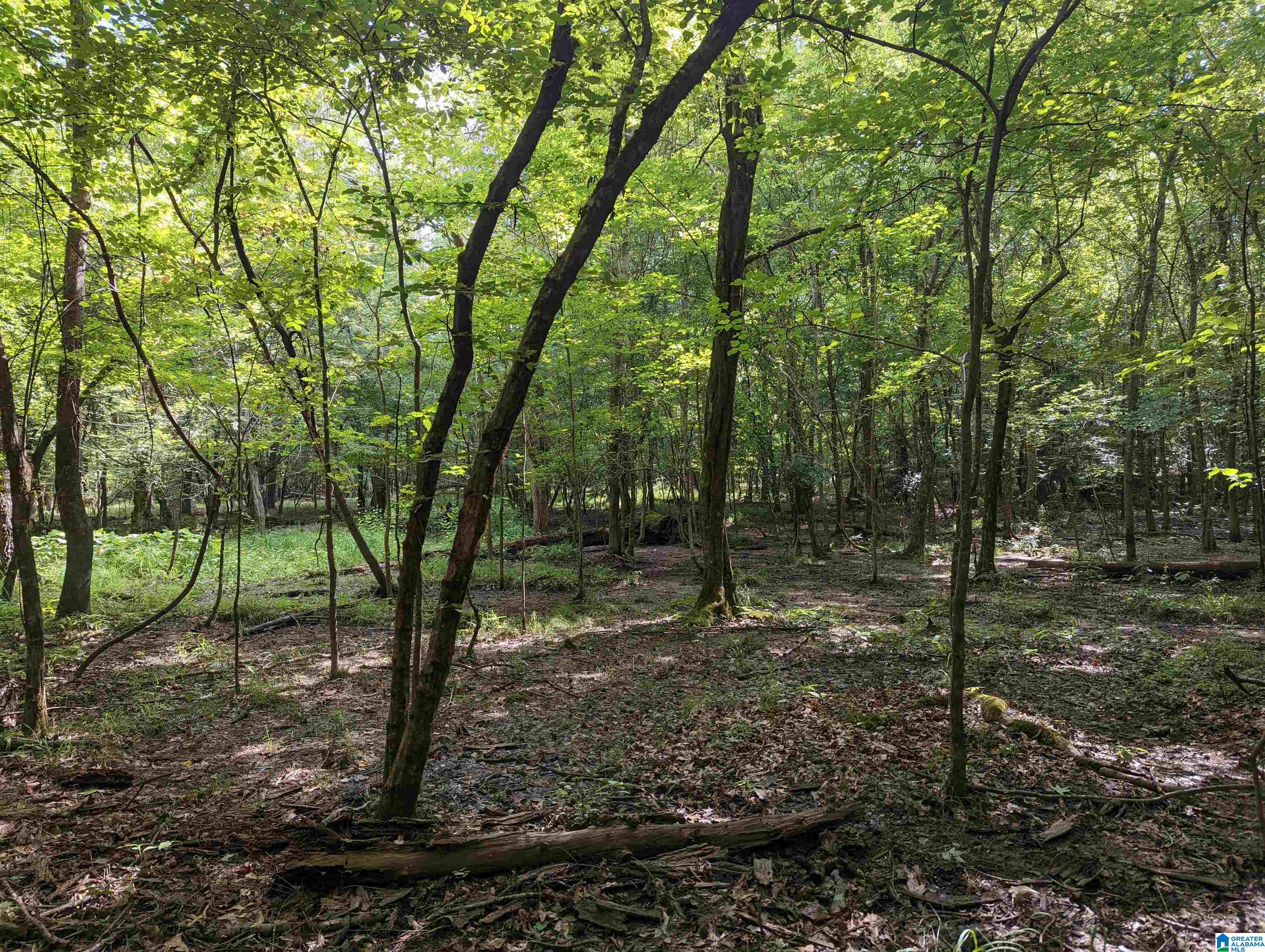 0 Stevens Creek Road Birmingham, AL 35244 - Photo 7 of 11