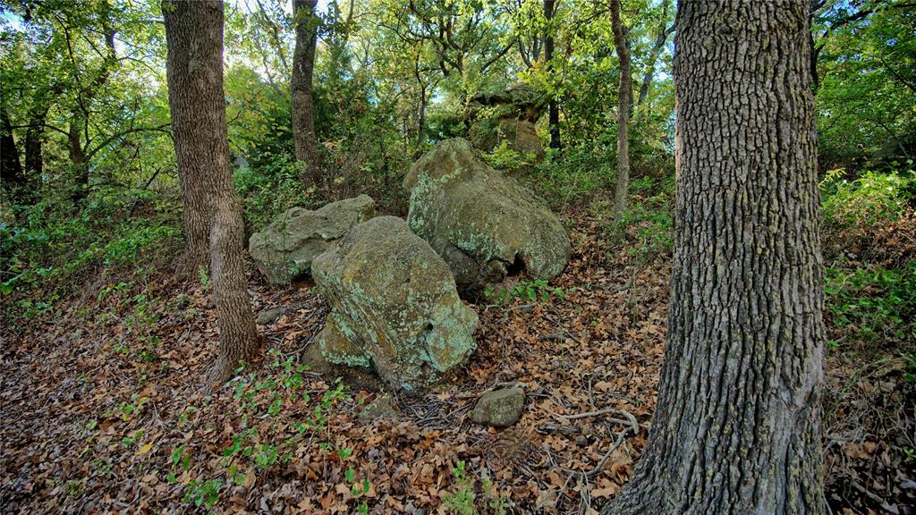 1 Tradewinds Nocona, TX 76255 - Photo 28 of 37 a view of a garden