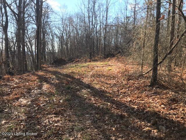 0 Tar Springs Road Cloverport, KY 40111 - Photo 8 of 35 jason.jpg8