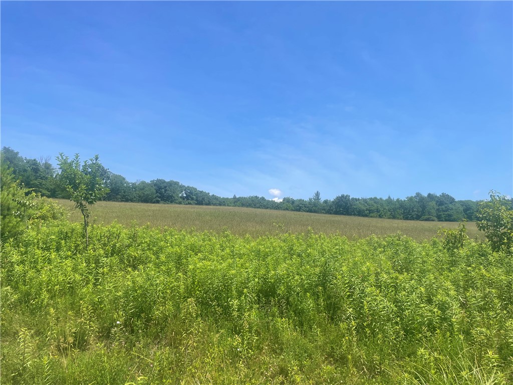 Schlafer Road Bainbridge, NY 13733 - Photo 6 of 6
