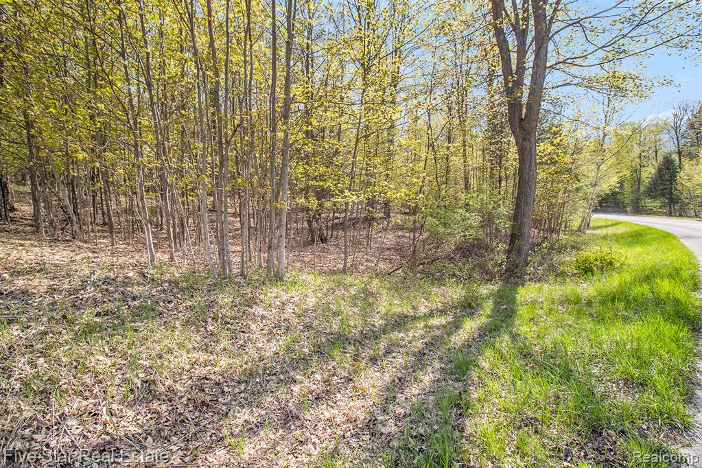 0 Smith Road Onekama, MI 49675 - Photo 22 of 23