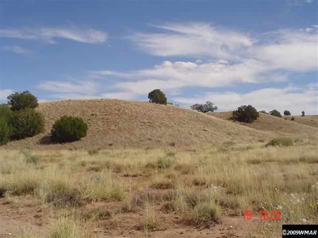 391 Apache County Road Concho, AZ 85924 - Photo 11 of 38