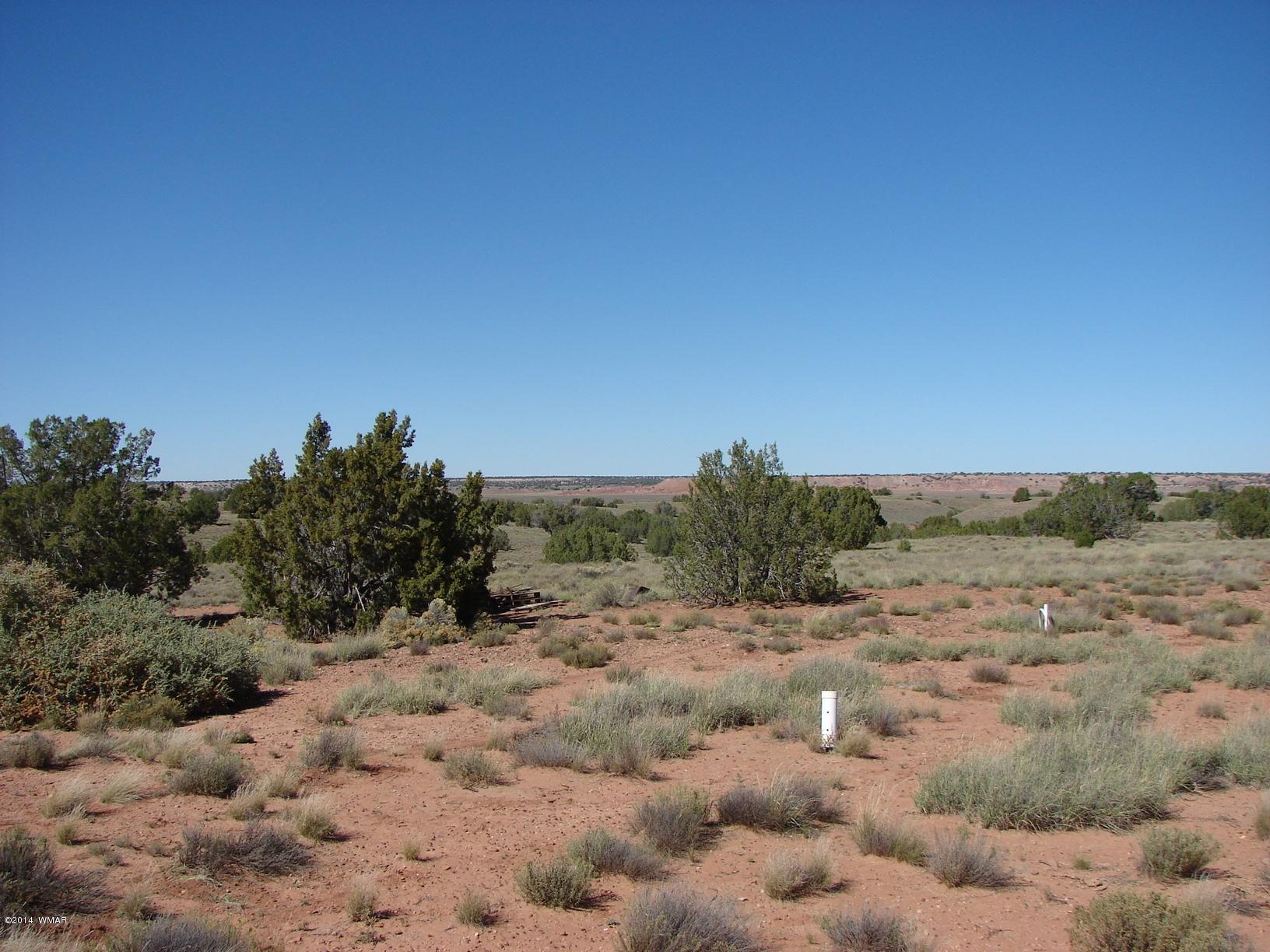 391 Apache County Road Concho, AZ 85924 - Photo 14 of 38