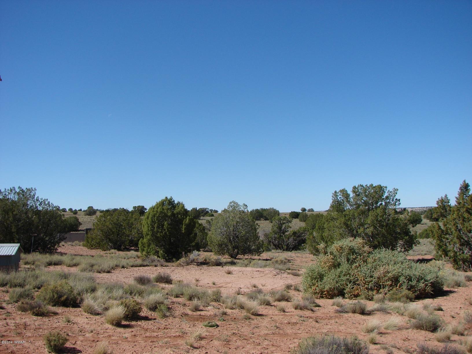 391 Apache County Road Concho, AZ 85924 - Photo 15 of 38