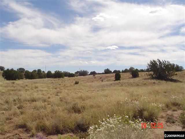 391 Apache County Road Concho, AZ 85924 - Photo 5 of 38